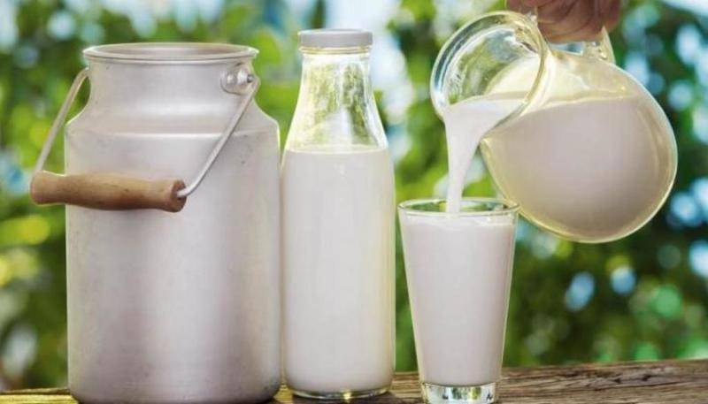 Lợi ích của sữa đối với người lớn tuổi