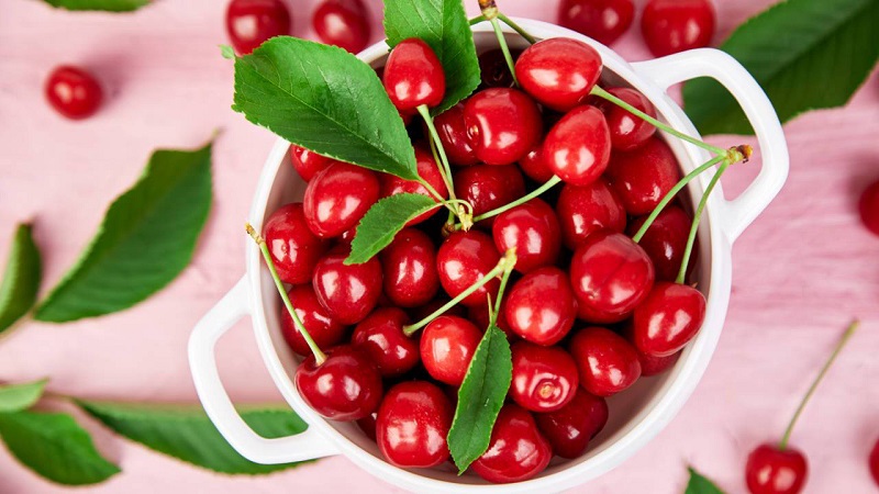 Quả cherry rất tốt cho người mắc bệnh gút