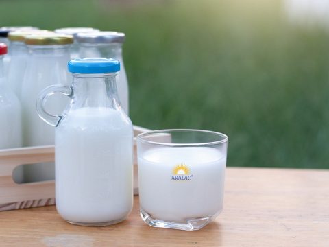 Tổng hợp ý kiến từ các chuyên gia về tác dụng của uống sữa