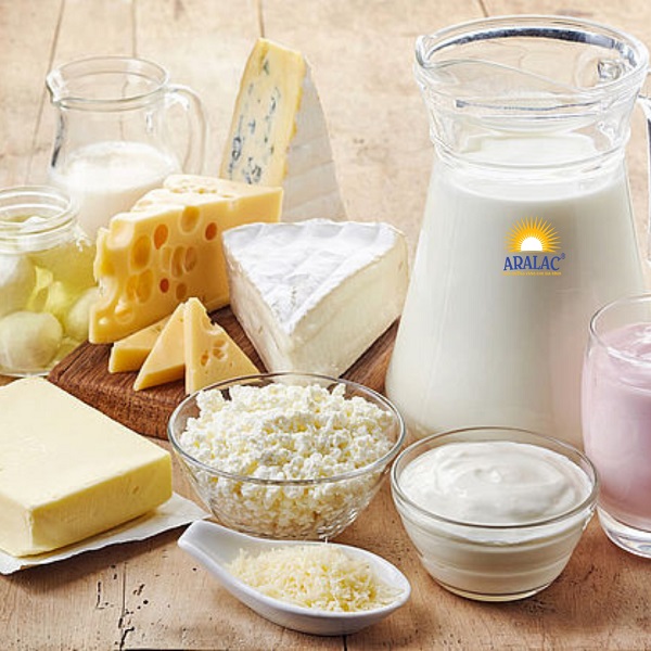 Sữa và các thực phẩm từ sữa rất giàu protein và canxi