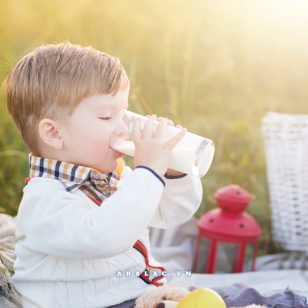 Sữa bột với sữa nguồn gốc thực vật: Sữa nào tốt nhất cho trẻ?