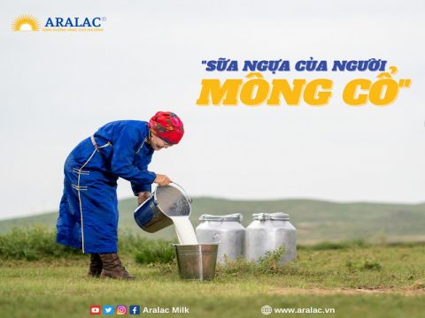 Airag - Thức uống bổ dưỡng được làm từ sữa ngựa Mông Cổ